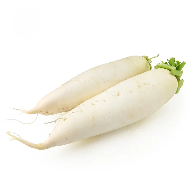 Radish Gwyn crensiog