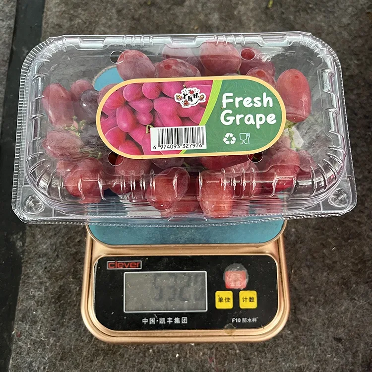 Allforio Gradd Ffres Crimson Grawnwin Hadau