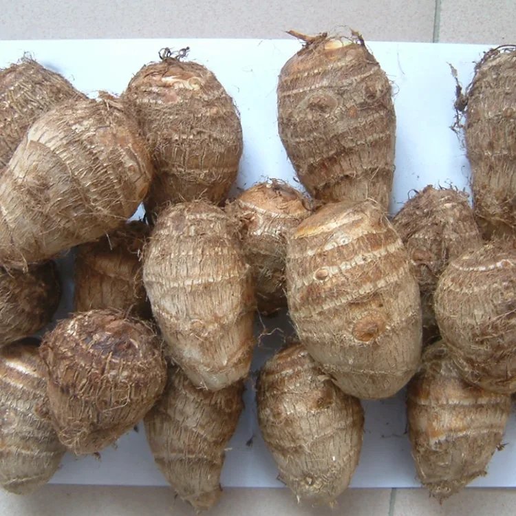 Taro Ffres Maes