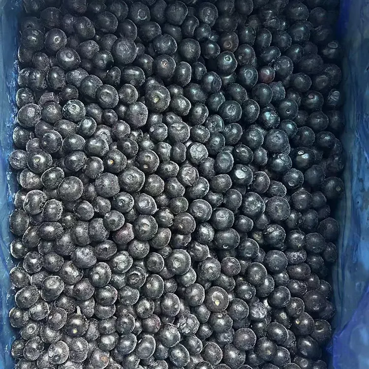 Llus Premiwm Llus wedi'u Rhewi IQF Llus