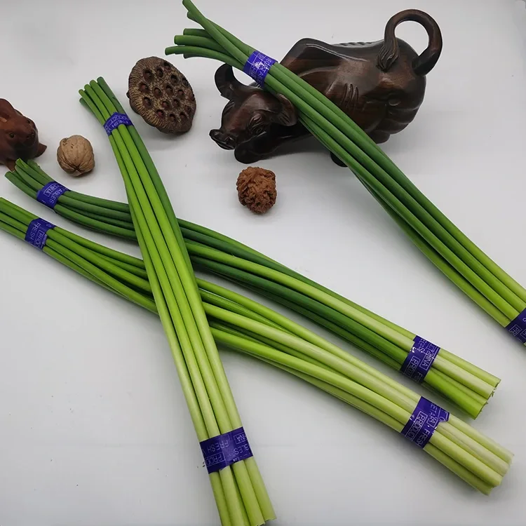Scapes Garlleg Ffres Premiwm