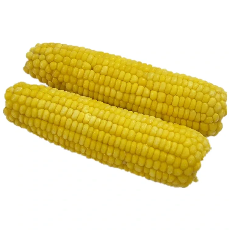 Corn Melys Premiwm wedi'i Rewi