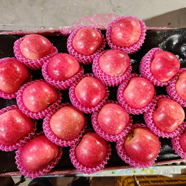 Afalau Jiguan Ffres Superior
